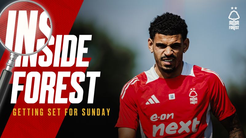 INSIDE FOREST | FINAL DAY PREPARATIONS
