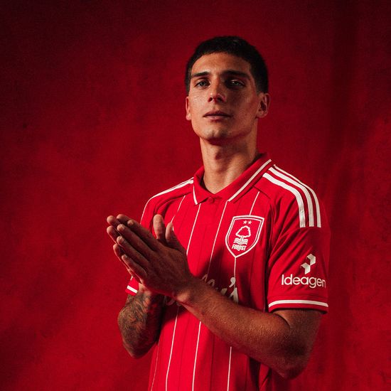 尼古拉斯・多明格斯