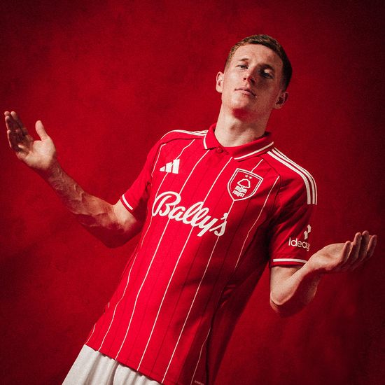 埃利奥特・安德森