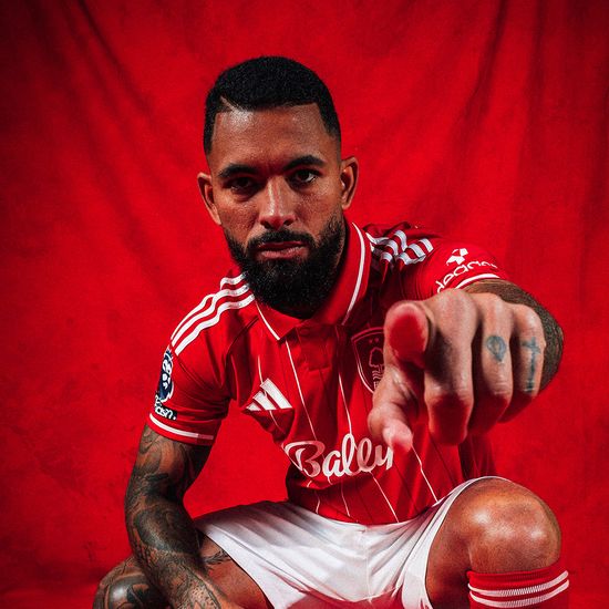 道格拉斯・路易斯