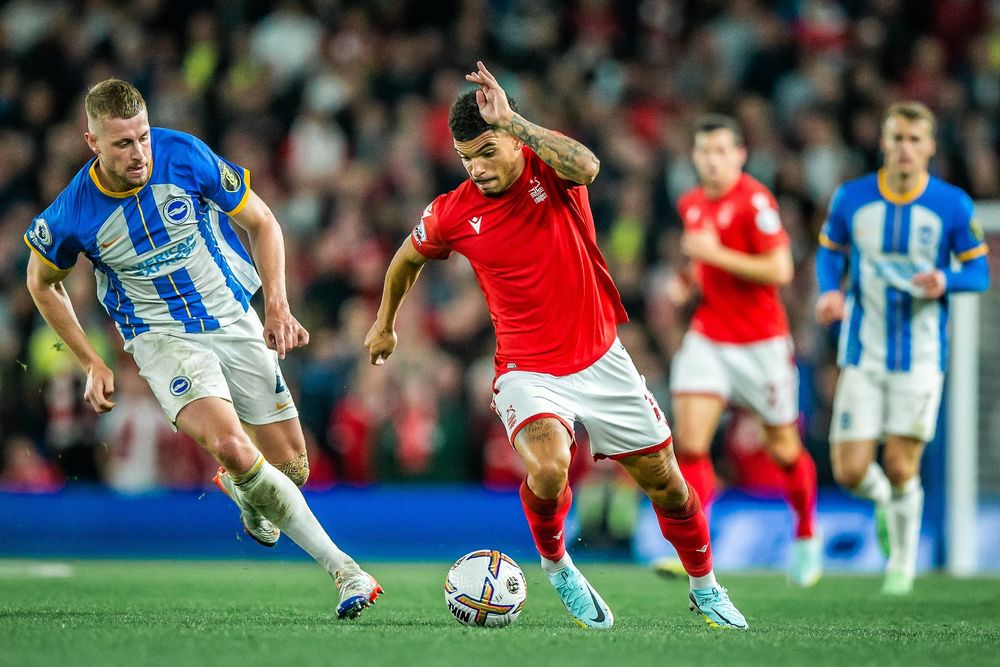 JD NFFC BRIGHTON 083.jpg